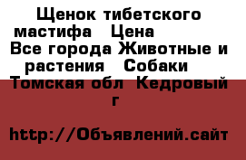 Щенок тибетского мастифа › Цена ­ 60 000 - Все города Животные и растения » Собаки   . Томская обл.,Кедровый г.